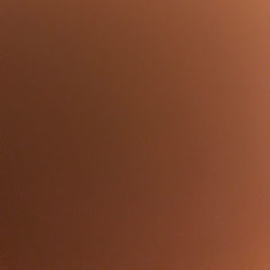 Meet your Posher, Sandy